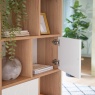 Gallery Gallery Newbury Display Unit Oak White