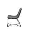 Gallery Gallery Hawking Lounge Chair Charcoal