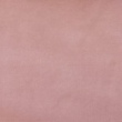 Oscar Velvet Dusty Pink